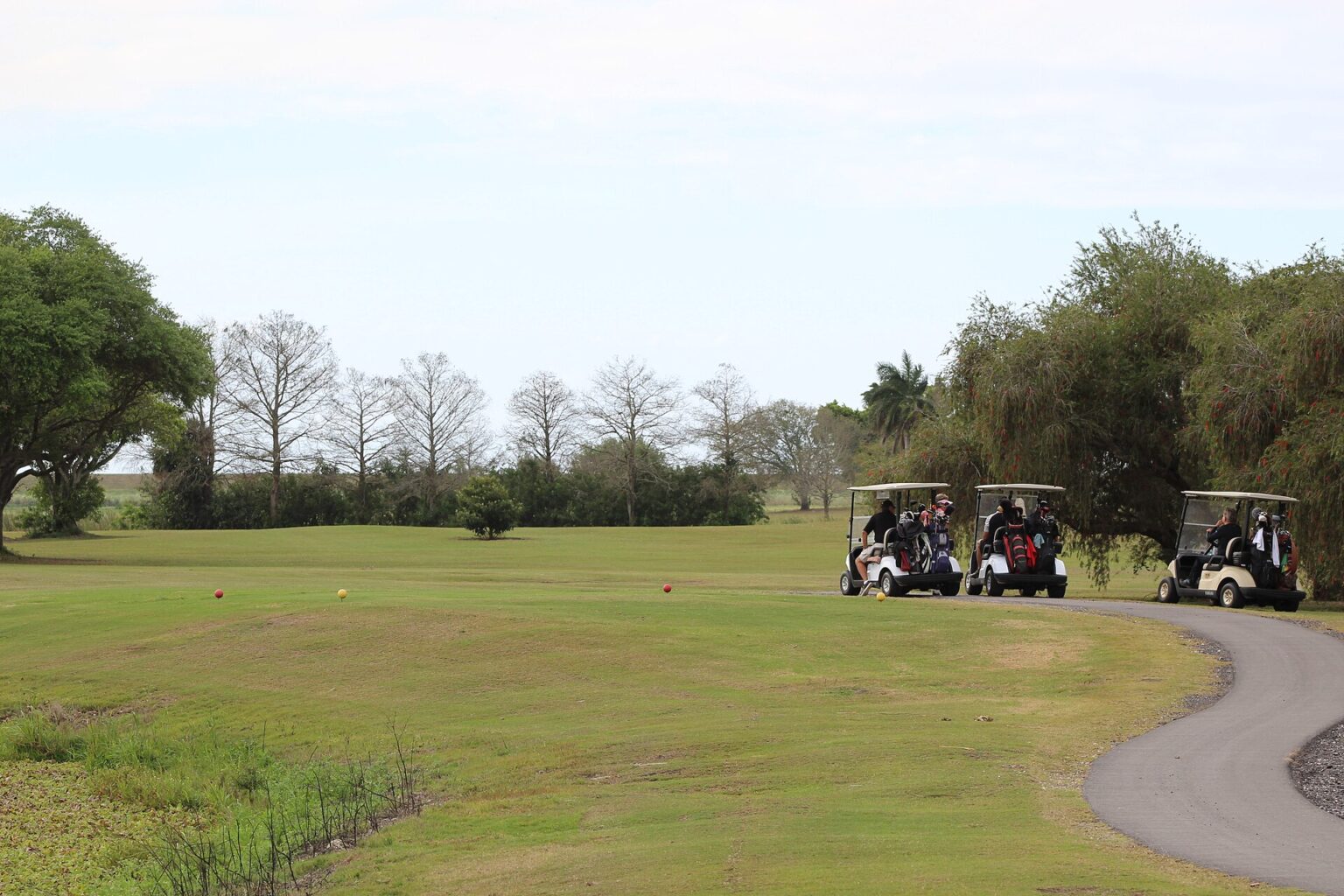 Golf Coach Fix